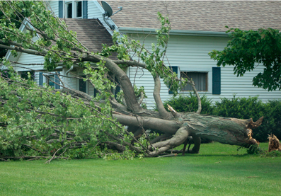 Storm damage on SR 48