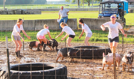Greased Pig Contest at Ripley County 4-H Fair