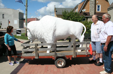 Osgood bison art project