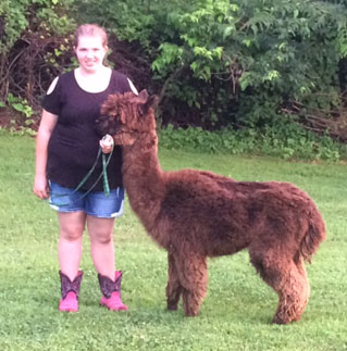 Ripley County 4-H Fair