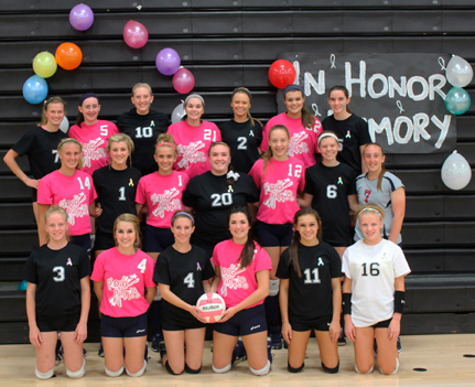 volleyballteamsforcancer